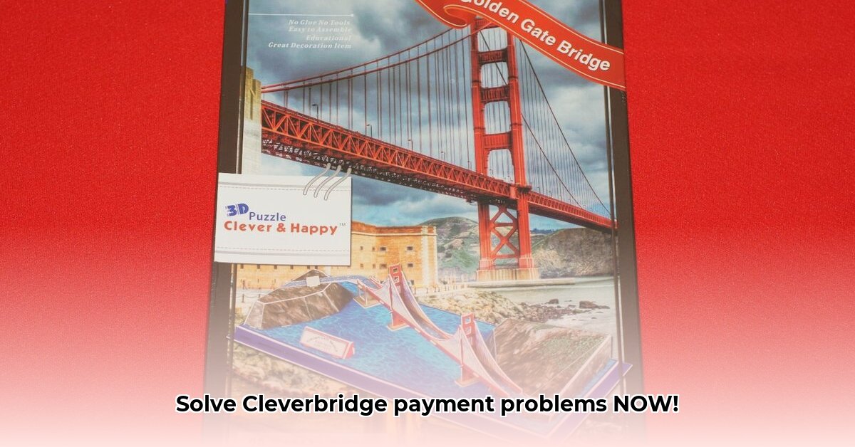 clever-bridge-payment
